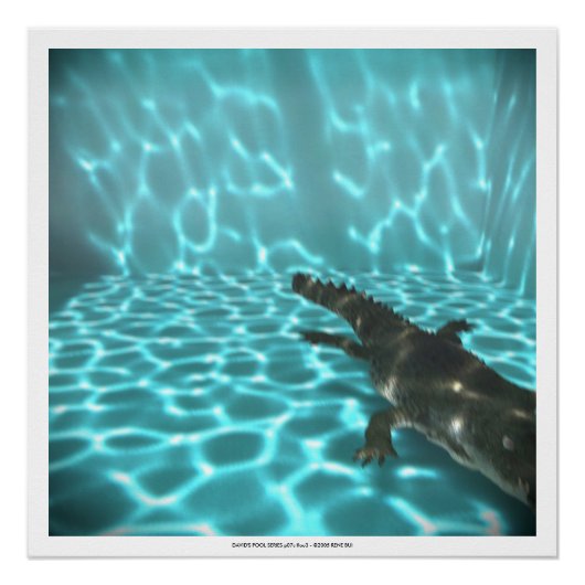 Poster DAVID'S POOL SERIES p07c flou3- 3D Computer ART (Devant)