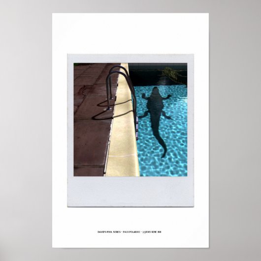 Poster DAVID'S POOL SERIES p08b (Devant)