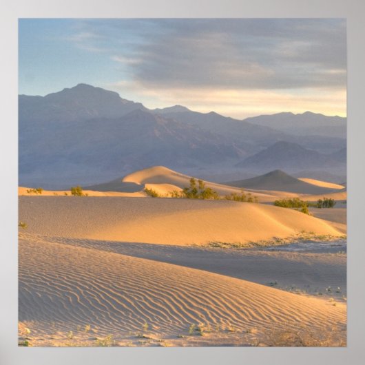 Poster Dawn du désert (Devant)