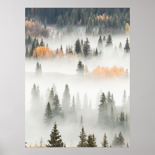 Poster Dawn Ground Fog Covers Mountain Forest (Devant)