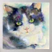 Poster Daydreamer Cat (Devant)