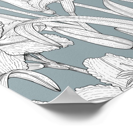 Poster Daylilies (Coin)