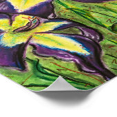 Poster Daylily "Laura Harwood" (Coin)