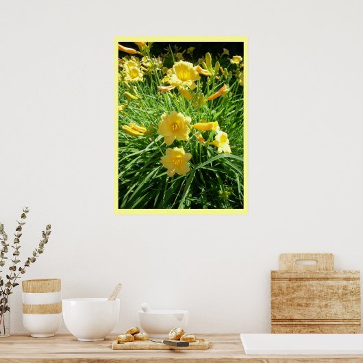 Poster Daylily Splendor (Cuisine)