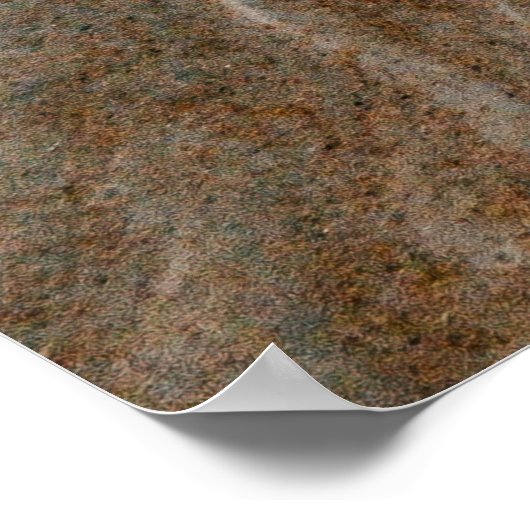 Poster Daytona Beach (Coin)