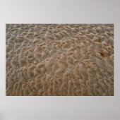 Poster Daytona Beach (Devant)