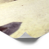 Poster Daytona Florida Boardwalk (Coin)