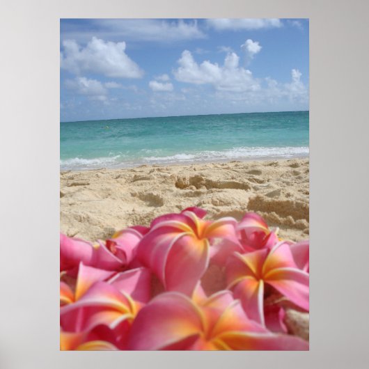 Poster Dayz hawaïen (Devant)