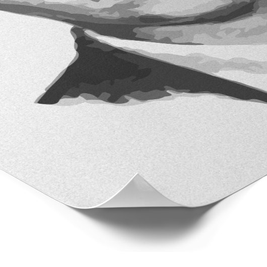 Poster DB Cooper (Coin)