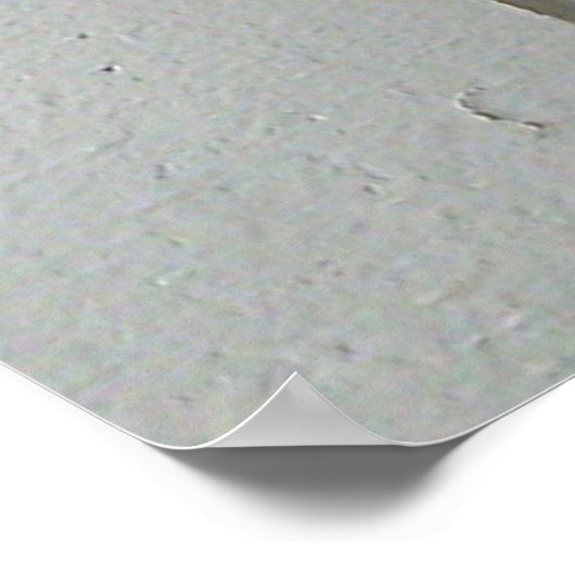 Poster DBY cool (Coin)