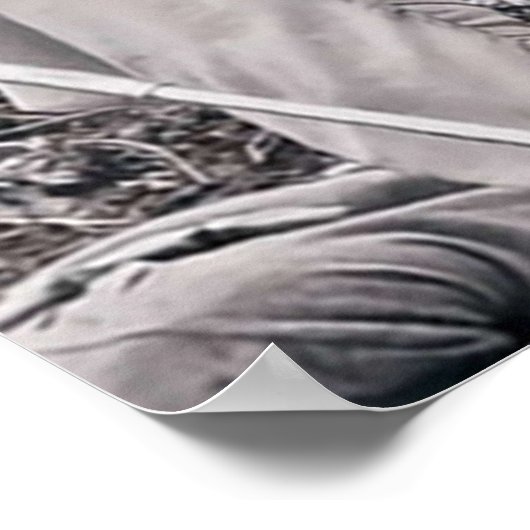 Poster DC Légende du canari blanc de demain (Coin)