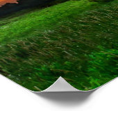 Poster de 24 po x 20 po (Matte) (Coin)