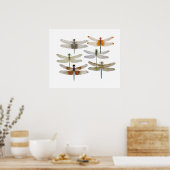 Poster de 6 espèces de libellules (Cuisine)