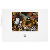 Poster de animal. Ailes papillons. (Dos Horizontal)