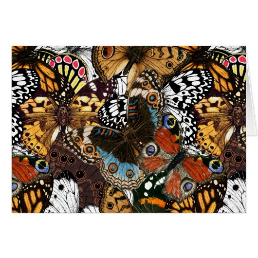 Poster de animal. Ailes papillons. (Devant horizontal)