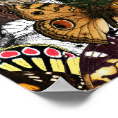 Poster de animal. Ailes papillons. (Coin)