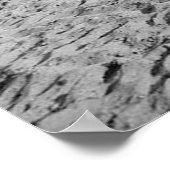 Poster de Atlantic City New Jersey Pony Rides (Coin)