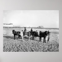 Poster de Atlantic City New Jersey Pony Rides