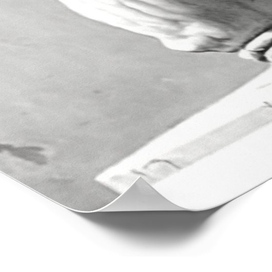 Poster de Bad Sign (Coin)