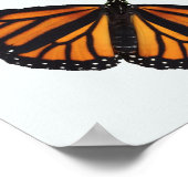 POSTER DE BAIES ET DE BAIES EN ARBRE DE RUBRE (Coin)