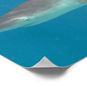 Poster de bain de requin sous l'eau (Coin)