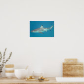 Poster de bain de requin sous l'eau (Cuisine)