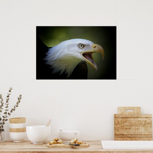 Poster de Bald Eagle (Cuisine)