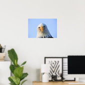 Poster de Bald Eagle (Bureau à domicile)