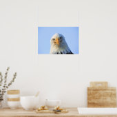 Poster de Bald Eagle (Cuisine)