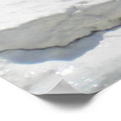 Poster de baleines blanches de Beluga (Coin)