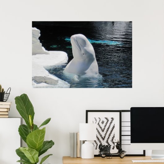 Poster de baleines blanches de Beluga (Bureau à domicile)