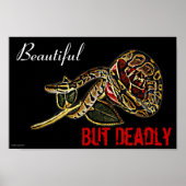 Poster de Ball Python Snake (Devant)
