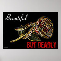 Poster de Ball Python Snake
