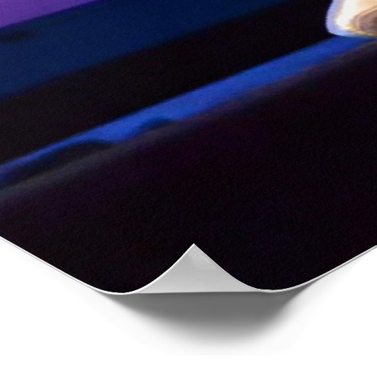 Poster de Ballerina (Coin)