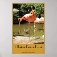 Poster de Ballerina Prima Donna !