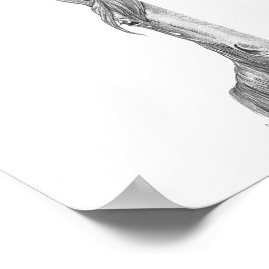 Poster de Bard (Coin)