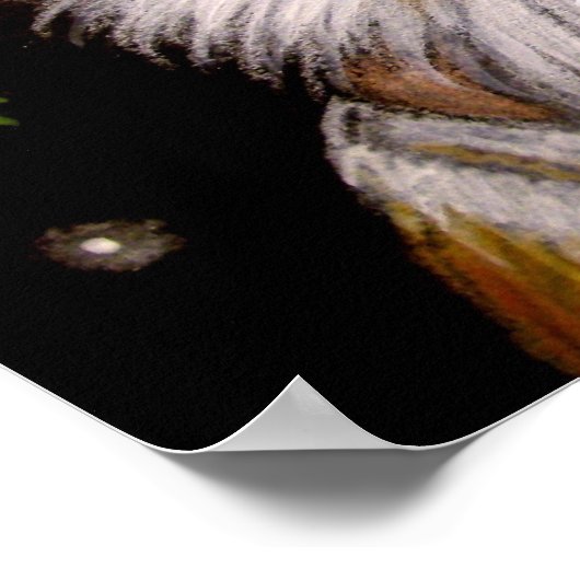 Poster de BARN OWL (Coin)