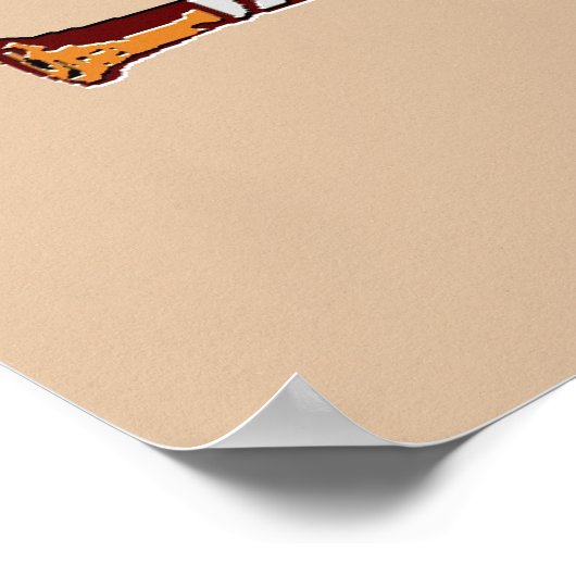 Poster de baseball des Pélicans (Coin)