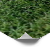 Poster de baseball et de baseball (Coin)