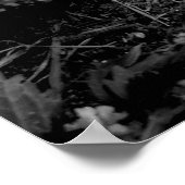 Poster de baseball oublié (Coin)