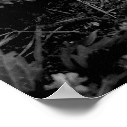 Poster de baseball oublié (Coin)