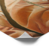 Poster de Bashi Bazouk (Coin)