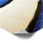 Poster de basketball bleu et blanc (Coin)