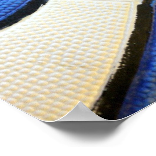 Poster de basketball bleu et blanc (Coin)