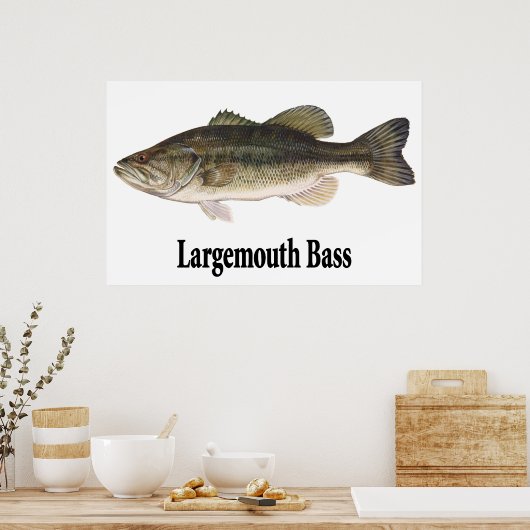 Poster de basse à grande bouche (Cuisine)