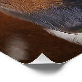 Poster de Basset Hound (Coin)