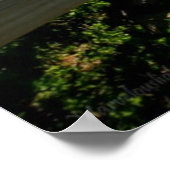 Poster de Beach Dock, Le Cap, Afrique du Sud (Coin)