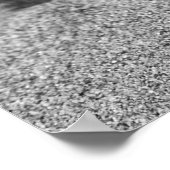 Poster de Beach Shell (Coin)