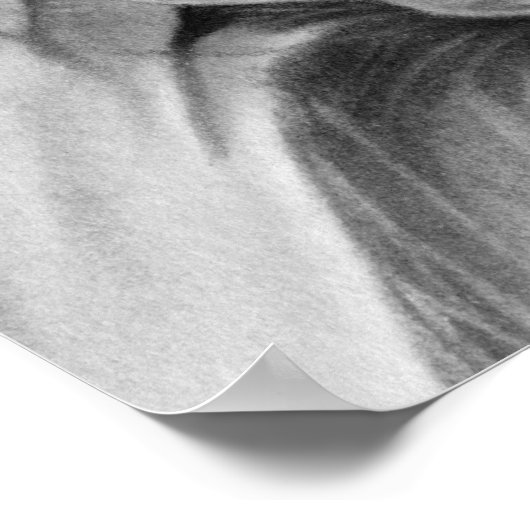 Poster de beauté gothique (Coin)