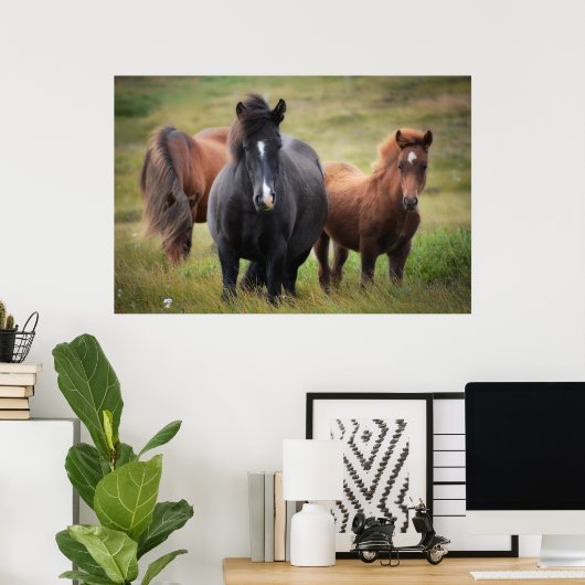 Poster De beaux chevaux (Bureau à domicile)